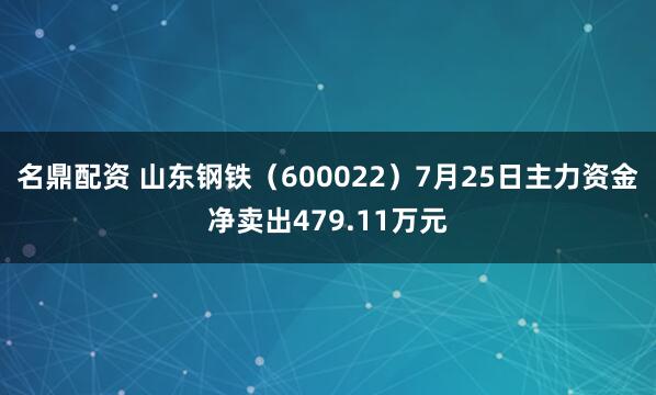 名鼎配资 山东钢铁（600022）7月25日主力资金净卖出479.11万元