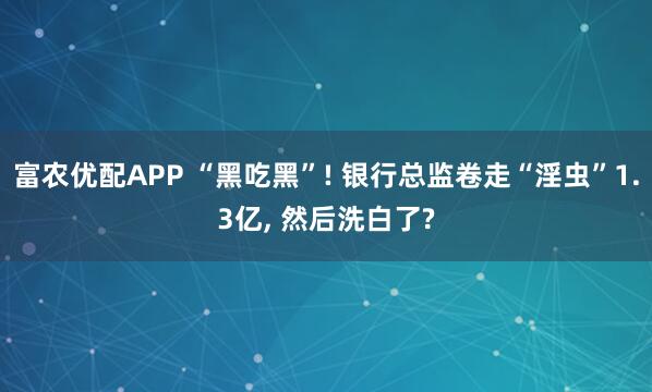 富农优配APP “黑吃黑”! 银行总监卷走“淫虫”1.3亿, 然后洗白了?