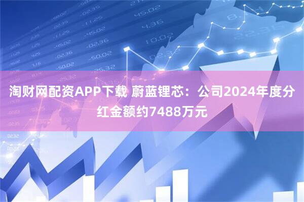 淘财网配资APP下载 蔚蓝锂芯：公司2024年度分红金额约7488万元