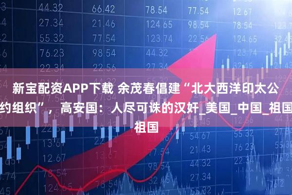 新宝配资APP下载 余茂春倡建“北大西洋印太公约组织”，高安国：人尽可诛的汉奸_美国_中国_祖国