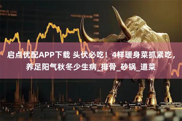 启点优配APP下载 头伏必吃！4样暖身菜抓紧吃，养足阳气秋冬少生病_排骨_砂锅_道菜