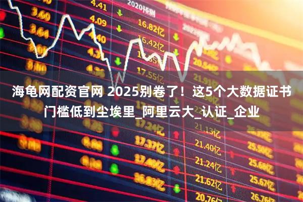 海龟网配资官网 2025别卷了！这5个大数据证书门槛低到尘埃里_阿里云大_认证_企业