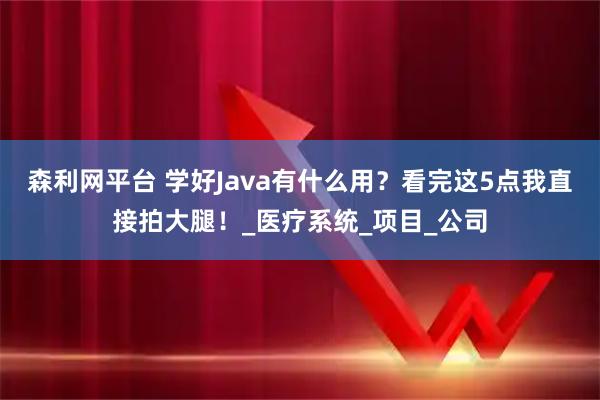 森利网平台 学好Java有什么用？看完这5点我直接拍大腿！_医疗系统_项目_公司